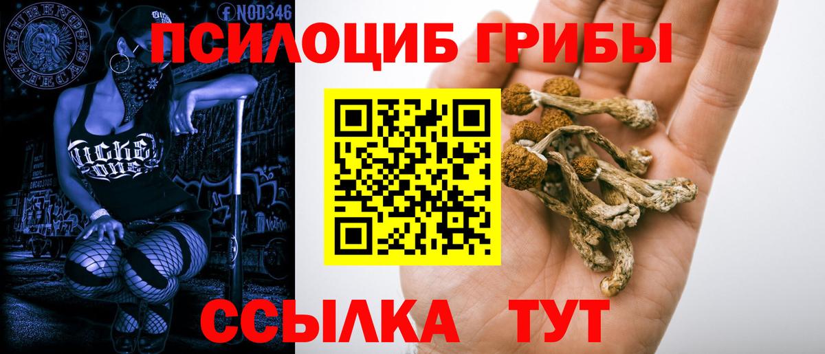 Галлюциногенные грибы MAGIC MUSHROOMS Стерлитамак