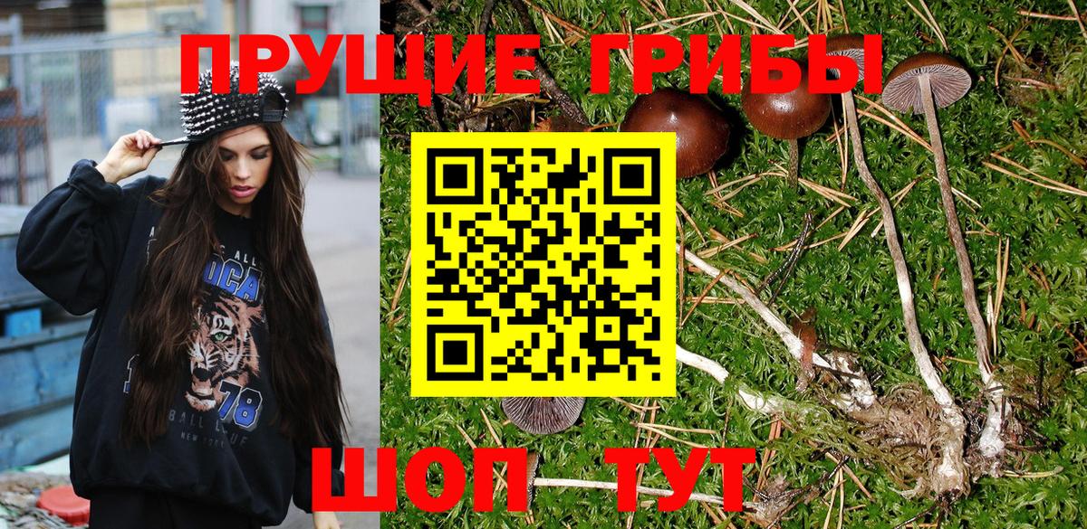 Псилоцибиновые грибы GOLDEN TEACHER  Вход с VPN  Стерлитамак 